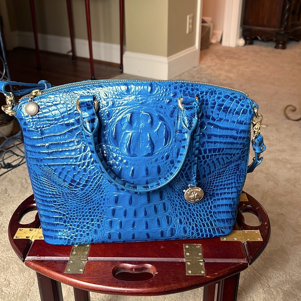 Brahmin purse